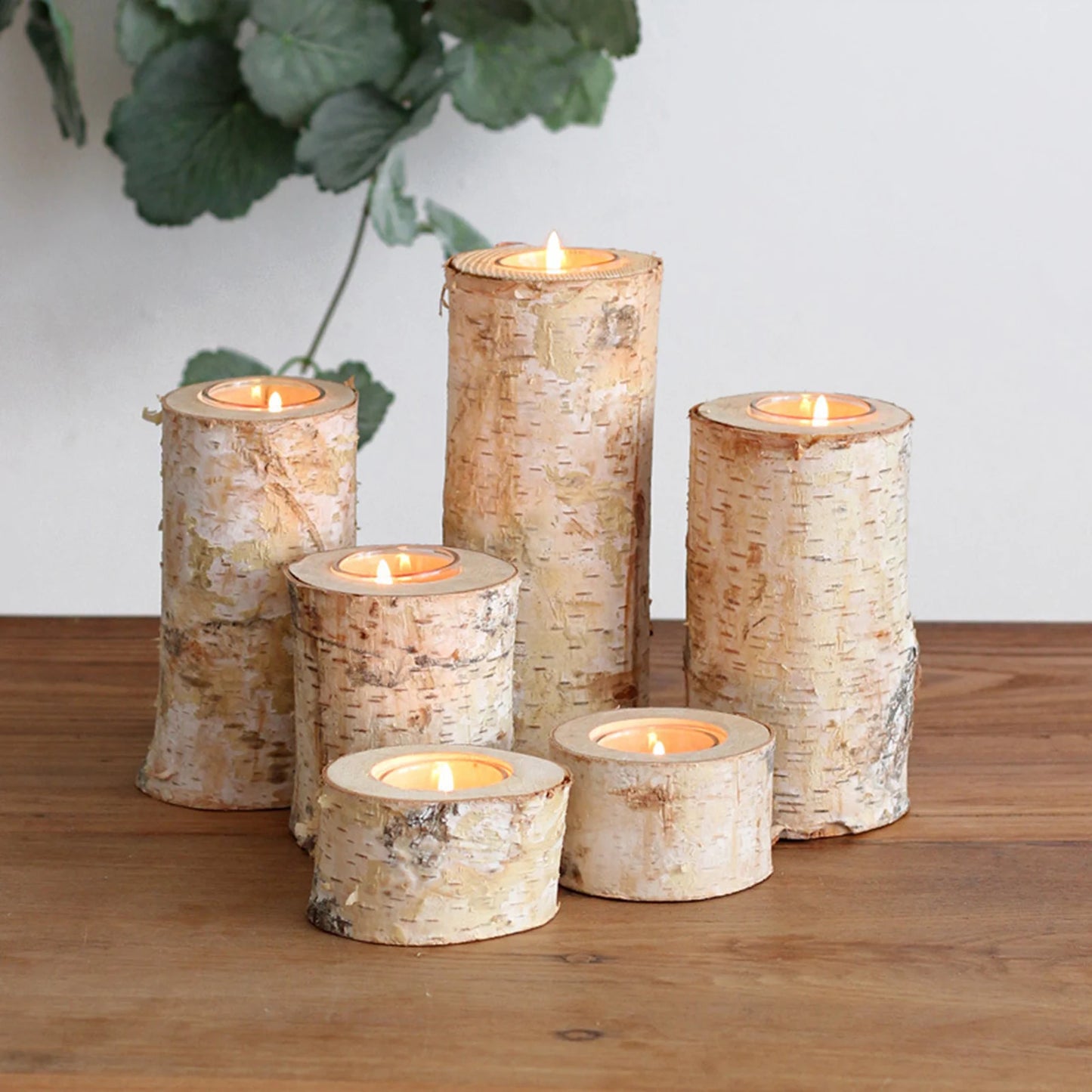 White Birch Candlestick Tea Light Holders