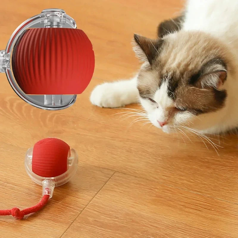 Interactive Plush Teasing Cat Toy Ball