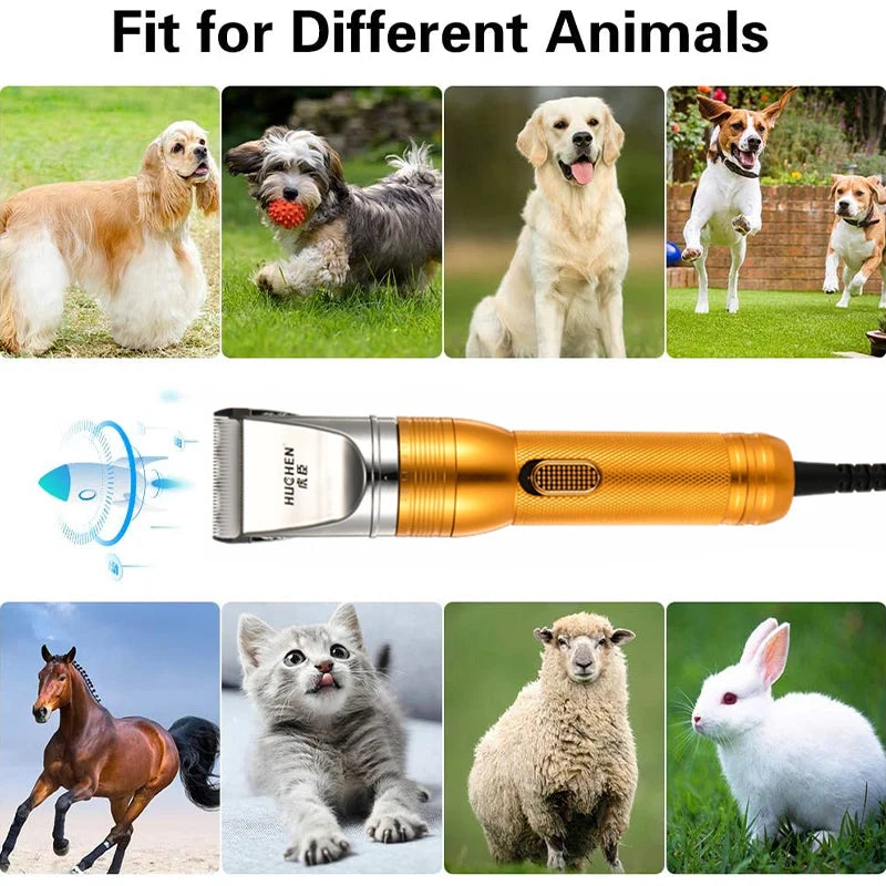 12V Cordless Pet Hair Trimmer