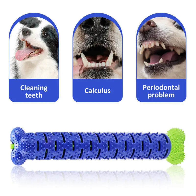 Durable Dog Toothbrush Chew Toy – Teeth Cleaning & Molar Brushing Stick