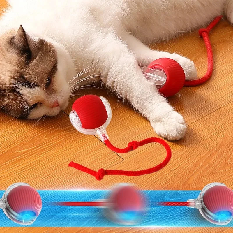 Interactive Plush Teasing Cat Toy Ball