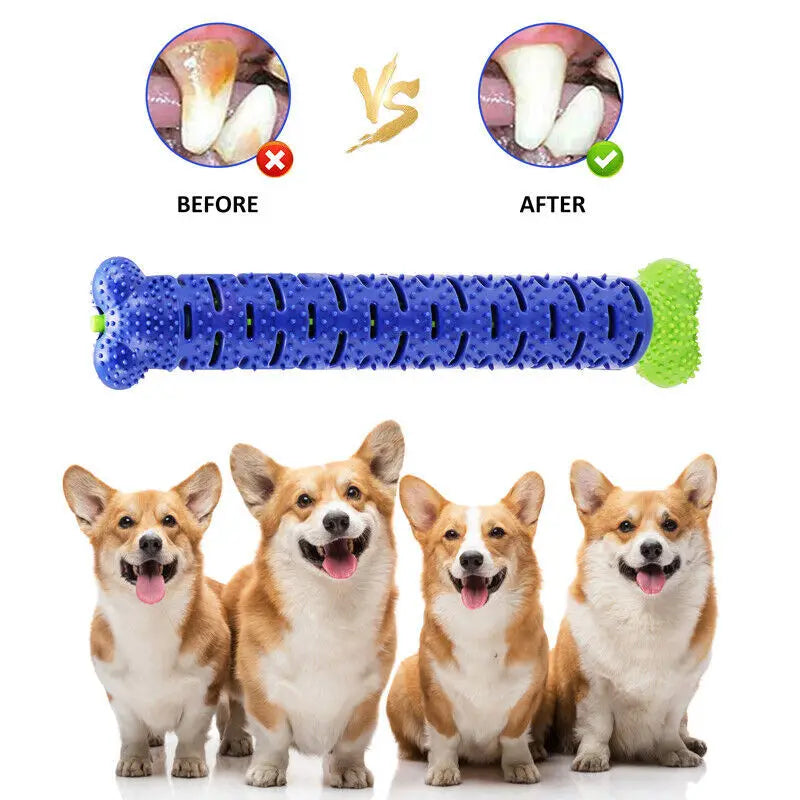 Durable Dog Toothbrush Chew Toy – Teeth Cleaning & Molar Brushing Stick