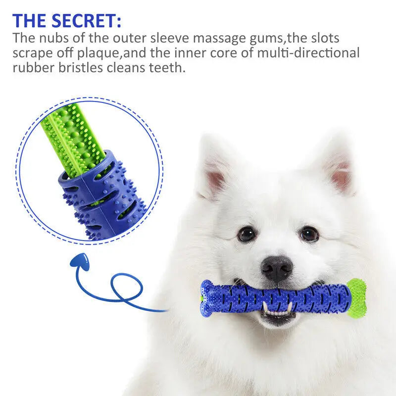 Durable Dog Toothbrush Chew Toy – Teeth Cleaning & Molar Brushing Stick