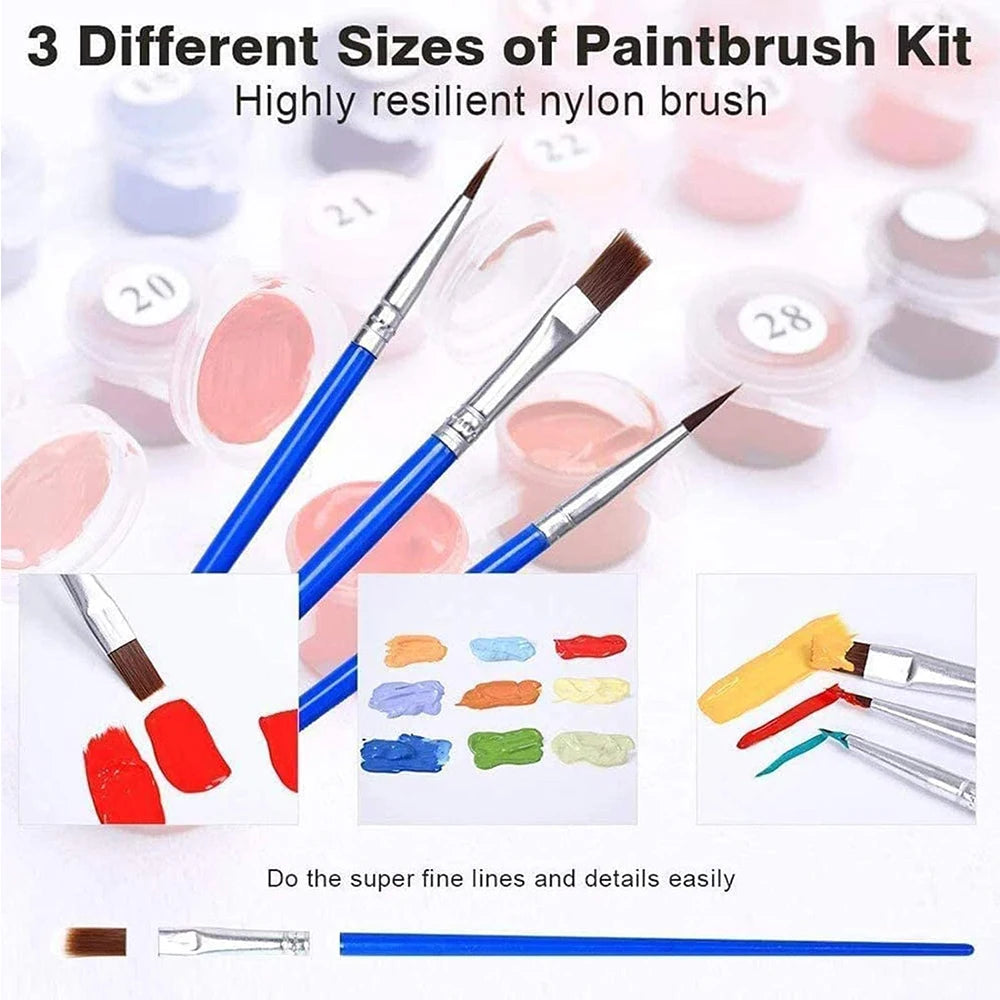 Paint by Numbers Kit for Beginner on Canvas