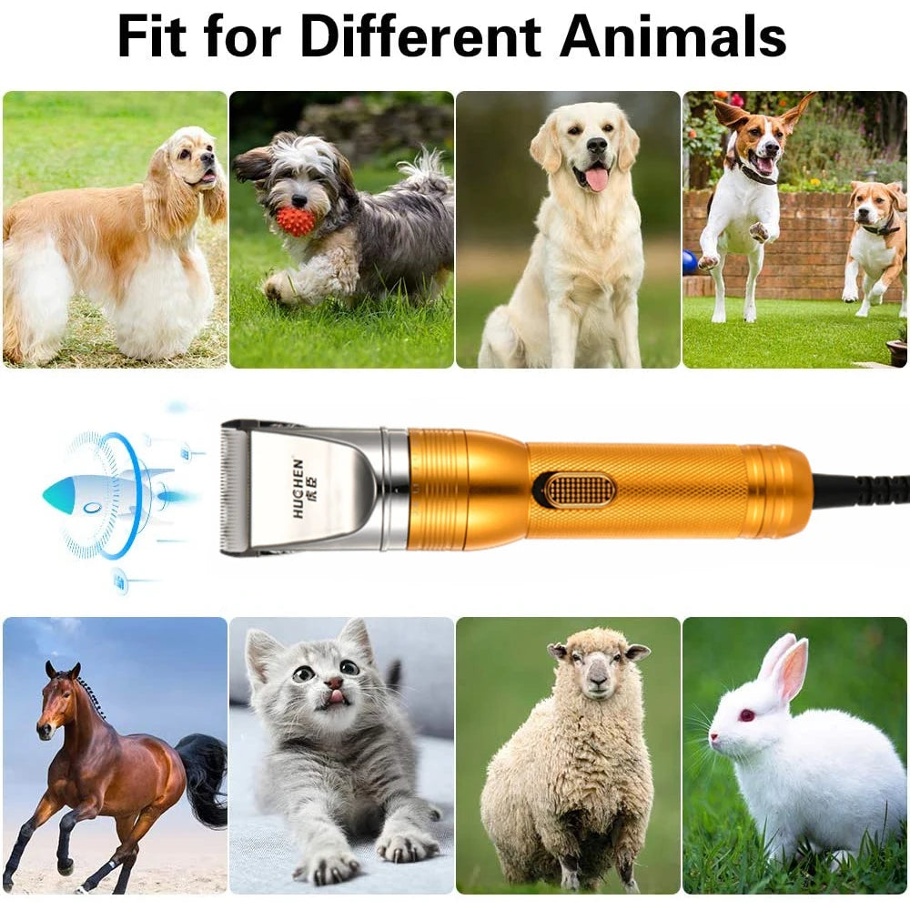12V Cordless Pet Hair Trimmer