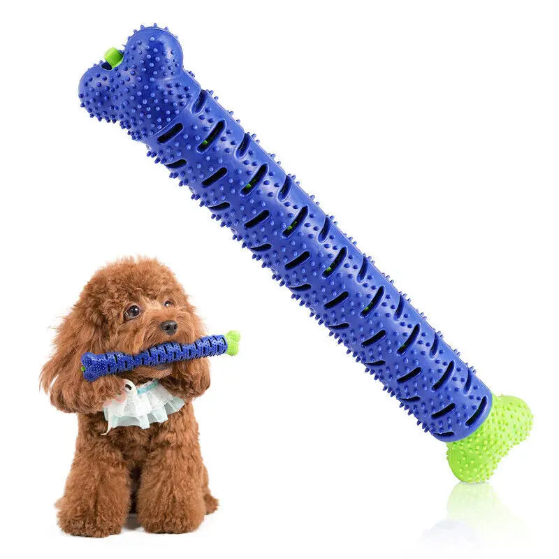 Durable Dog Toothbrush Chew Toy – Teeth Cleaning & Molar Brushing Stick