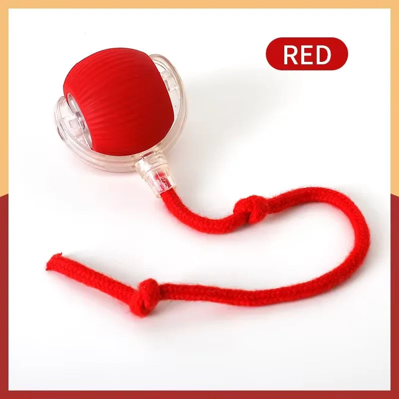 Interactive Plush Teasing Cat Toy Ball