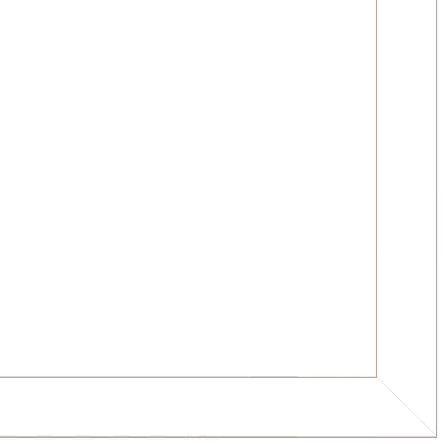 "Shells II Collection" 3-Piece Vignette By Mollie B. and G. Janisse, Printed Wall Art, Ready To Hang Framed Poster, White Frame