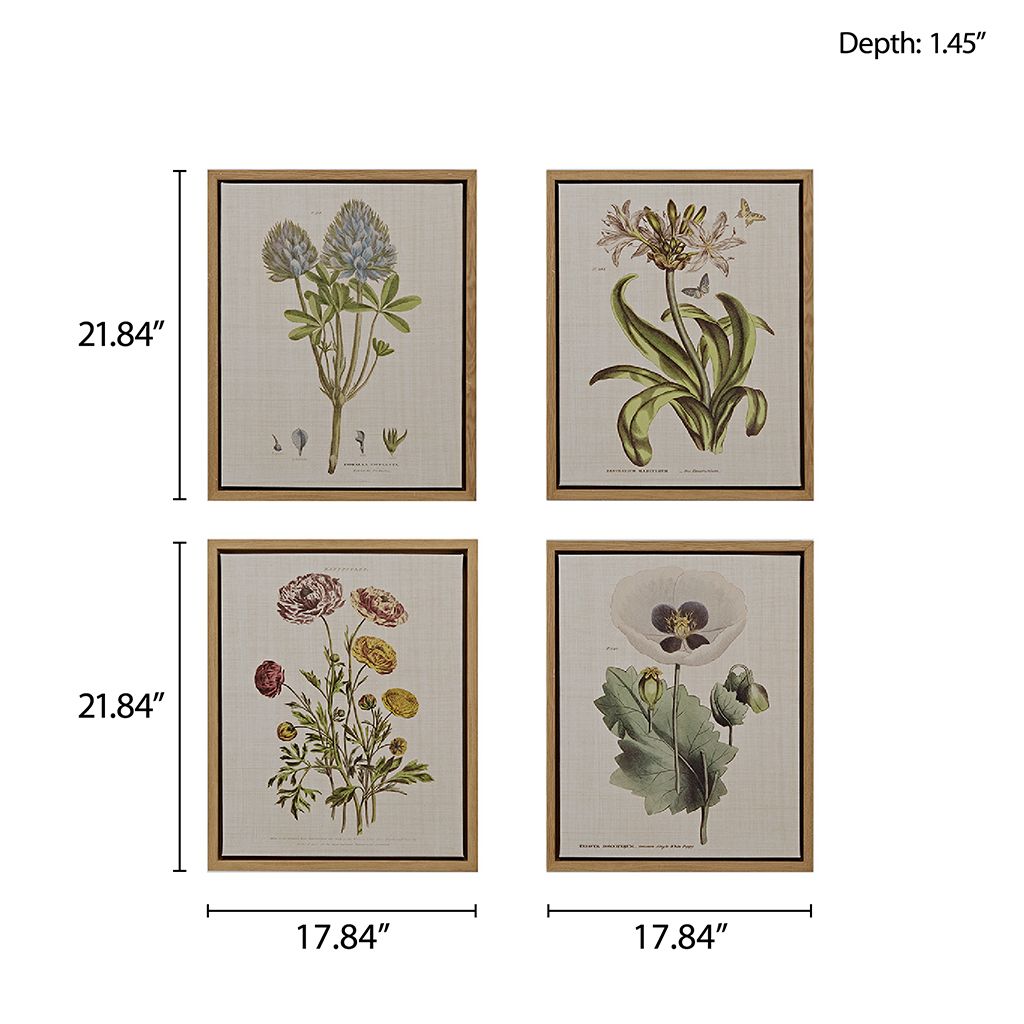 4-piece Botanical Illustration Framed Canvas Wall Art Set