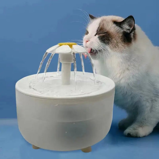 Pets Water Fountain, Auto Filter Water Dispenser