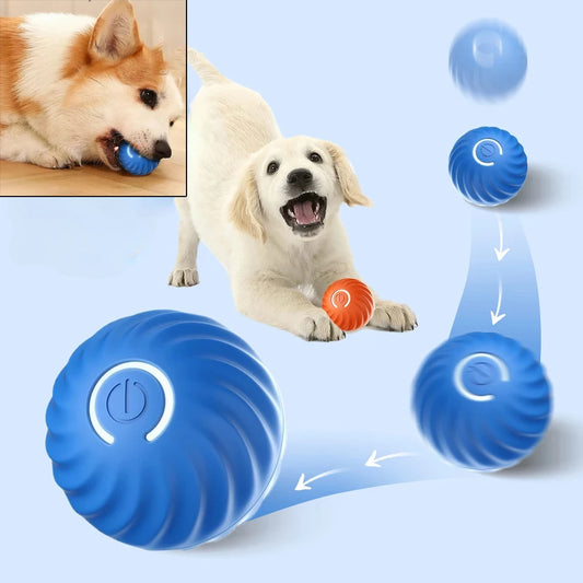 Dog Automatic Bouncing Toy Ball