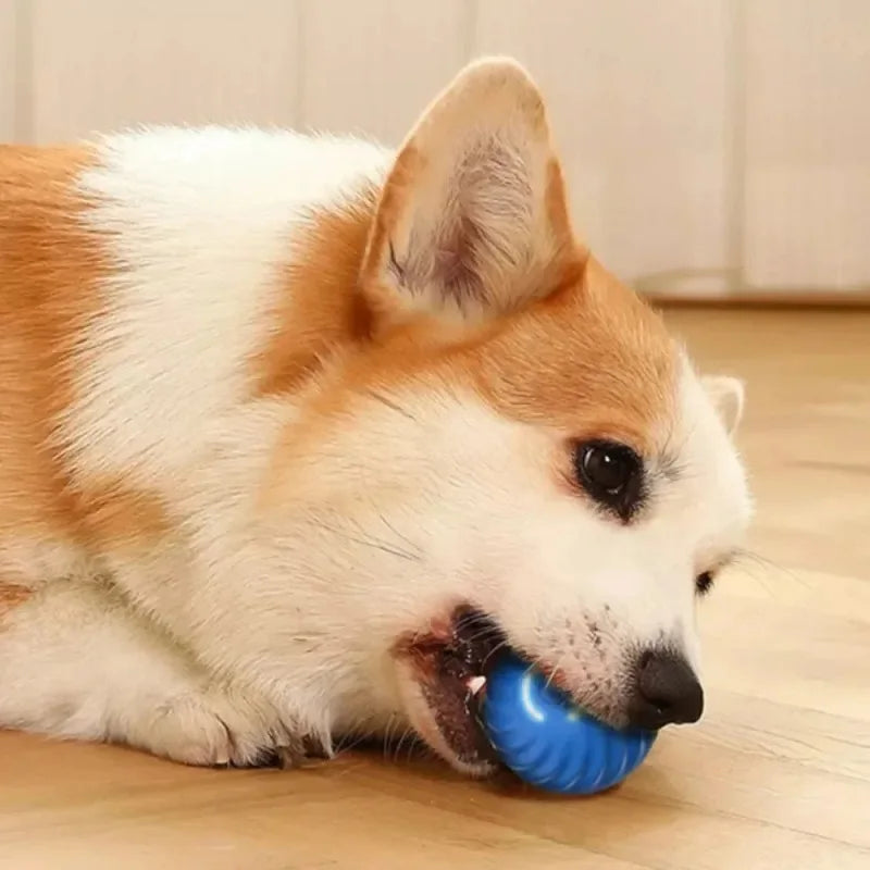 Dog Automatic Bouncing Toy Ball