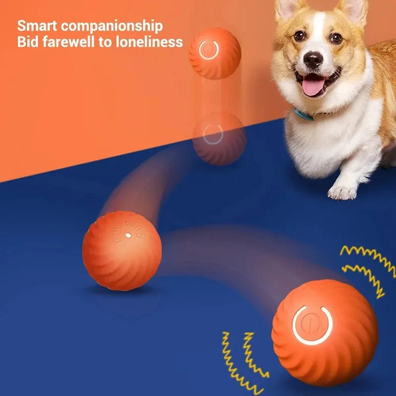 Dog Automatic Bouncing Toy Ball