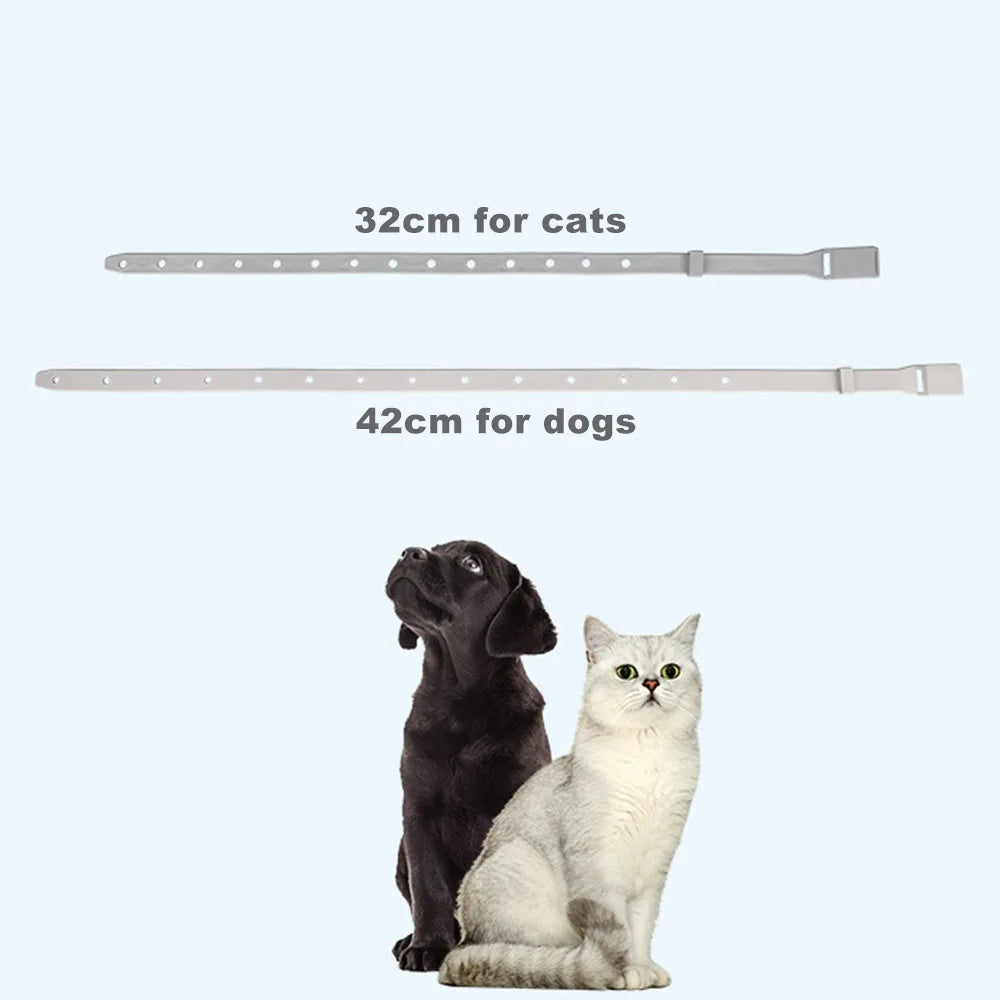 Anti Flea Tick Collar For Cats or Small Dogs