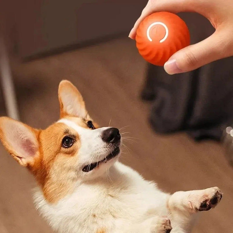 Dog Automatic Bouncing Toy Ball